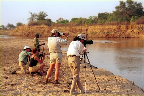 Photographic Safaris in Zambia