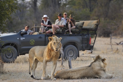 Game Drives in Zambia